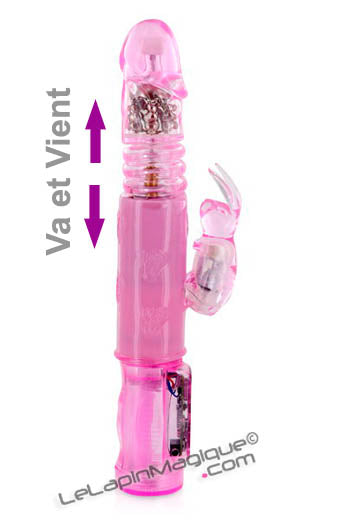 Rabbit Va et Vient | Rabbit Up and Down - LeLapinMagique